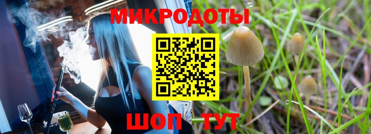 Галлюциногенные грибы мухоморы  Вход с VPN  Ковров 