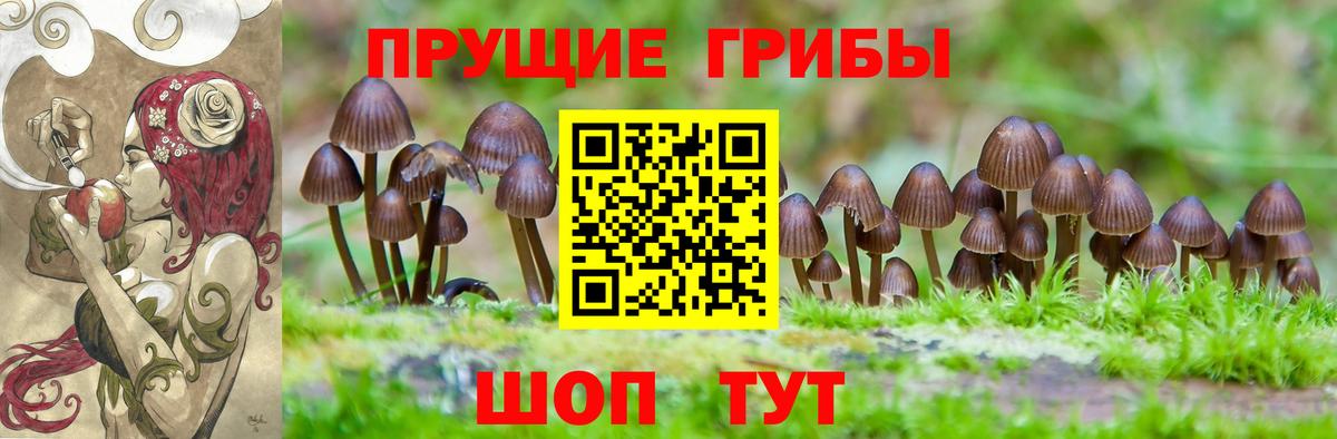 Галлюциногенные грибы MAGIC MUSHROOMS Ковров